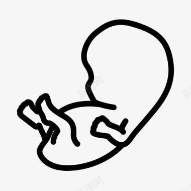 产科胚胎医学图标