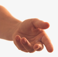 Hands  hand image free手真人动作免扣参考素材