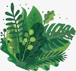 人与自然植物篇植物插画4插画植物篇高清图片