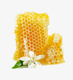 蜂蜜 2食品素材