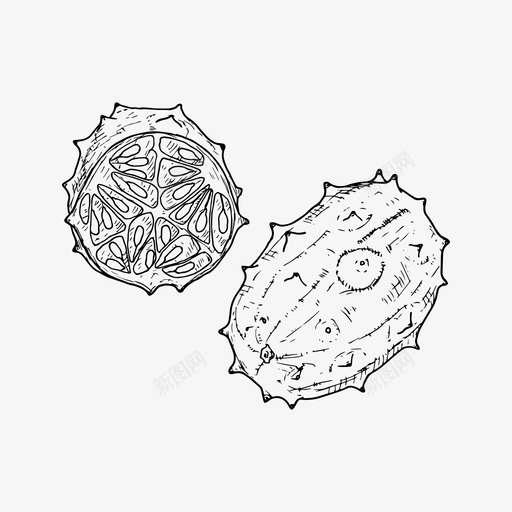 基瓦诺异国风味食品svg_新图网 https://ixintu.com 基瓦 异国风味 食品 水果 热带 素描