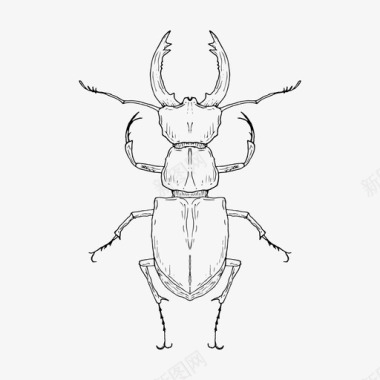 鹿甲虫虫子昆虫图标