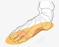 Tech illustration of metatarsal and shoe insole insertsX  鞋科技素材