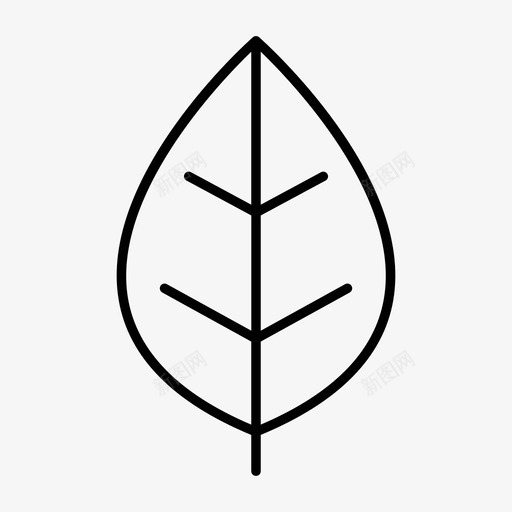 叶生态学单叶svg_新图网 https://ixintu.com 生态学 单叶