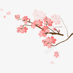 春天樱花 花朵 春季 恋蝶设计小素材