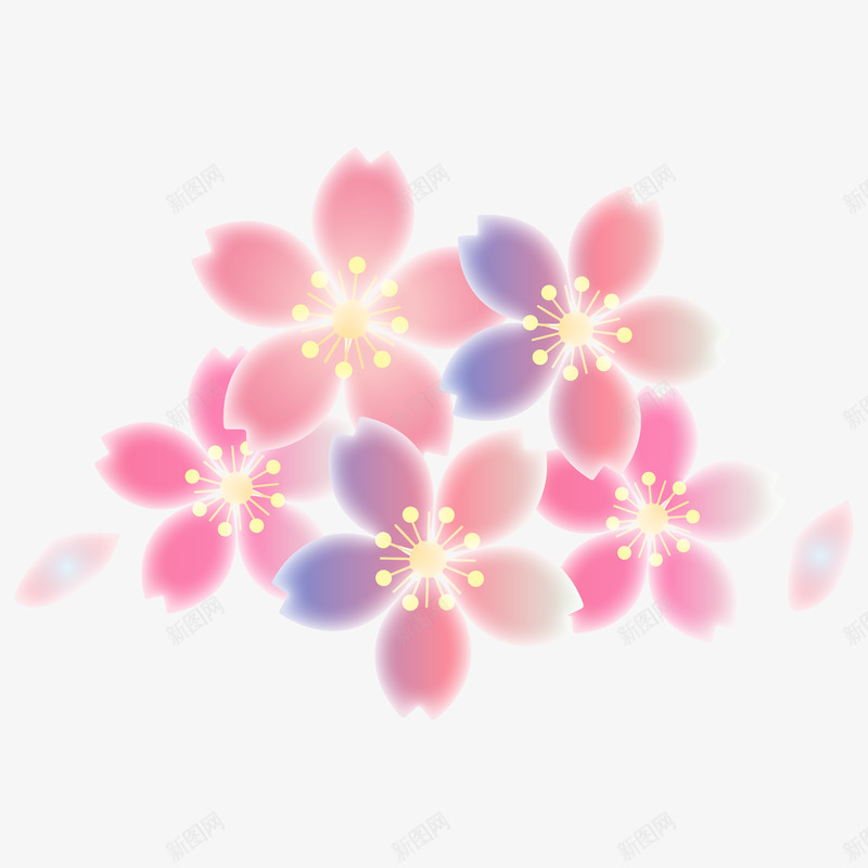 春天樱花 花朵 春季 恋蝶设计光效花瓣png免抠素材_新图网 https://ixintu.com 春天 樱花 花朵 春季 恋蝶 设计 光效 花瓣