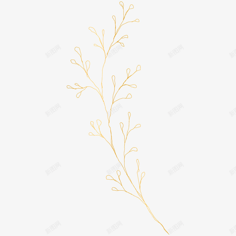 botanical leaves  sketched florals花样图png免抠素材_新图网 https://ixintu.com 花样