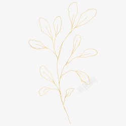 botanical leaves  sketched florals花样图素材