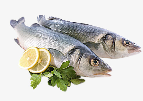 鱼食材和植物png免抠素材_新图网 https://ixintu.com 鱼食 植物