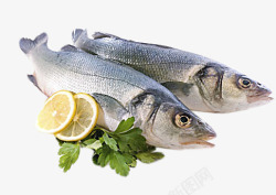 鱼食材和植物素材