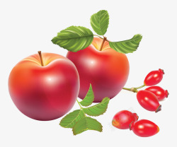 苹果 玫瑰果 设计水果素材