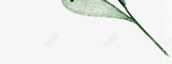 手绘植物树叶png免抠素材_新图网 https://ixintu.com 手绘 树叶 树叶一串 植物 装饰元素