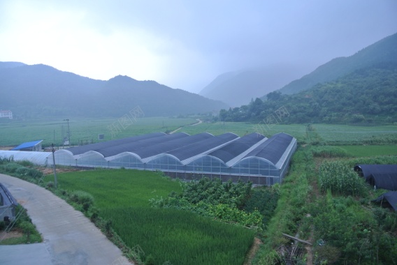 蔬菜种植大棚风景图背景