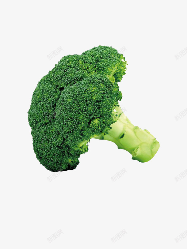 一颗绿色西蓝花png免抠素材_新图网 https://ixintu.com 植物 蔬菜 健身 食物 营养 绿色
