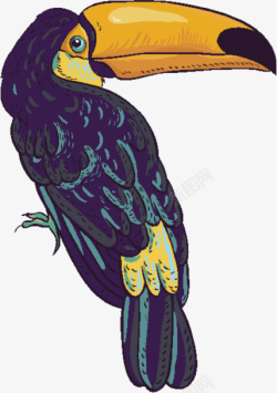 犀鸟手绘可爱乌鸦大嘴鸟高清图片