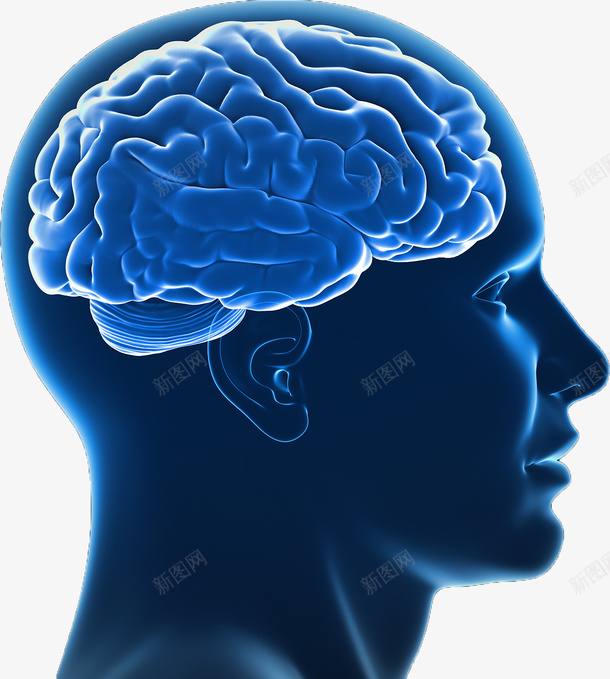 大脑科技医学png免抠素材_新图网 https://ixintu.com 大脑 科技 医疗 蓝色