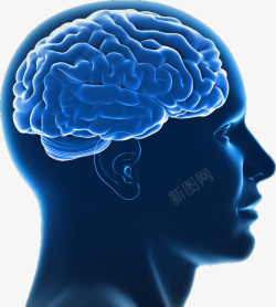 蓝色线上医疗图片大脑科技医学高清图片