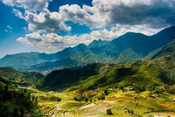 绿色梯田风光全景背景