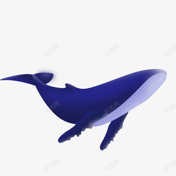 动物海水生物鲸鱼手绘png免抠素材_新图网 https://ixintu.com 动物 海水生物 鲸鱼 手绘