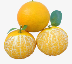 新年练包橘子包开的橘子高清图片