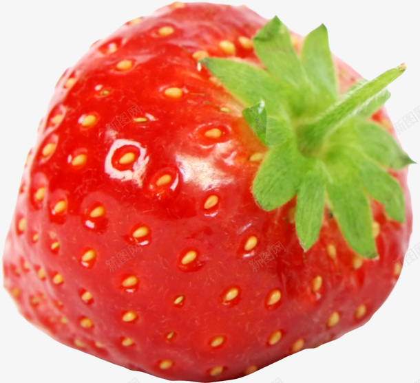 一颗高清草莓png免抠素材_新图网 https://ixintu.com 草莓 植物 水果 高清 红草莓