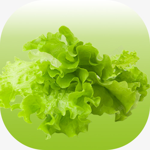 蔬菜图标渐变圆角png_新图网 https://ixintu.com 图标 圆角 渐变 菜类图片 蔬菜