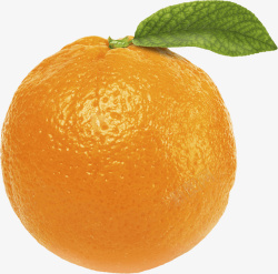 新鲜水果橘子免扣素材素材