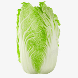 纯绿色绿色蔬菜新鲜大白菜高清图片