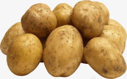 马铃薯淀粉成堆土豆PNG素材高清图片