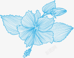 浅蓝色手绘小清新花朵素材