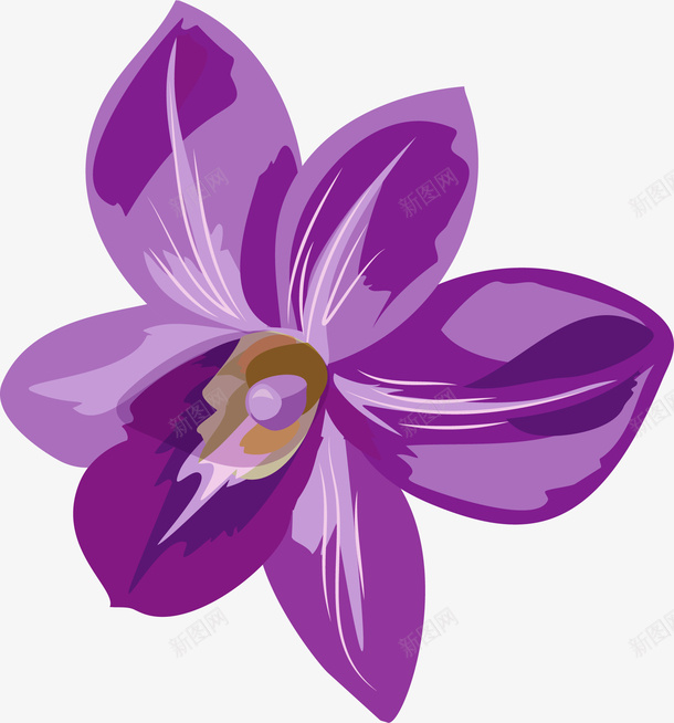 紫色的小花ai免抠素材_新图网 https://ixintu.com 紫色 花朵 花枝 薰衣草 栀子 渐变