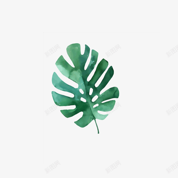 可可爱爱的绿色小树叶png免抠素材_新图网 https://ixintu.com 卡通 手绘 树叶一串 植物 绿