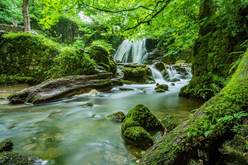 绿色森林瀑布自然风景jpg设计背景_新图网 https://ixintu.com 绿色 森林 瀑布 风景