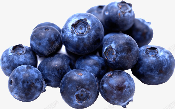 新鲜蓝莓免扣素材png免抠素材_新图网 https://ixintu.com 食物 水果 蓝莓 绿叶