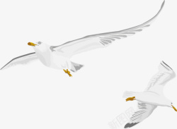 南飞候鸟动物手绘海鸥候鸟高清图片
