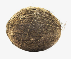 新鲜椰子椰子png透明图像高清图片