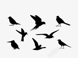 纯黑色鸟剪影矢量飞翔鸟高清图片