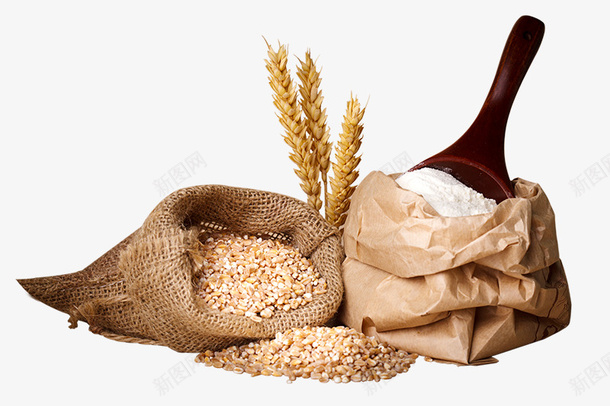 小麦面粉800x533pxpng免抠素材_新图网 https://ixintu.com 杂粮 小麦 麦子 面粉 麦穗
