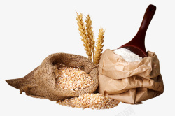 小麦面粉800x533px素材