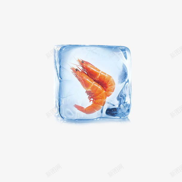 透明状冰冻虾png免抠素材_新图网 https://ixintu.com 冰冻 虾 冰冻虾 冰块