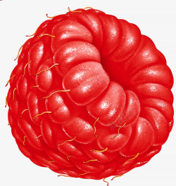 手绘桑葚新鲜树莓水果免扣素材高清图片