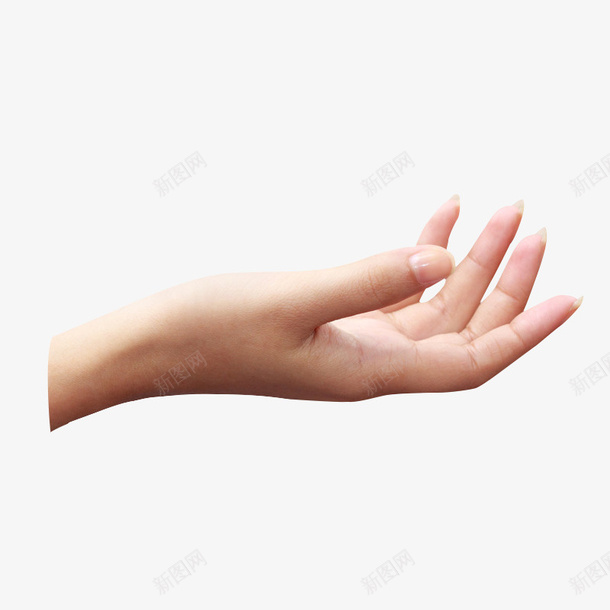 女人手手握东西png免抠素材_新图网 https://ixintu.com 手 女人手 握东西 白人
