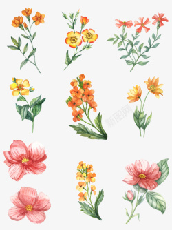 水彩植物花边框水彩花套图AI高清图片