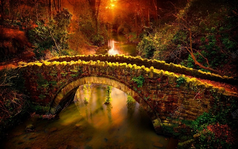 森林里的拱桥jpg设计背景_新图网 https://ixintu.com 拱桥 森林 日落 美景