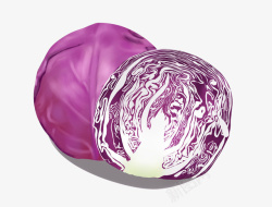 紫色蔬菜蔬菜类紫甘蓝高清图片