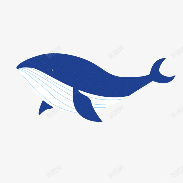 动物鲸鱼手绘png免抠素材_新图网 https://ixintu.com 动物 海洋生物 鲸鱼 手绘