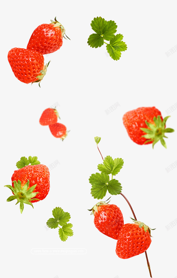 很多草莓飞溅png免抠素材_新图网 https://ixintu.com 草莓 绿叶 水果 红色