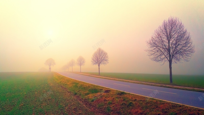 有雾的田野中路的照片jpg设计背景_新图网 https://ixintu.com 气候 田野 道路 雾 风景