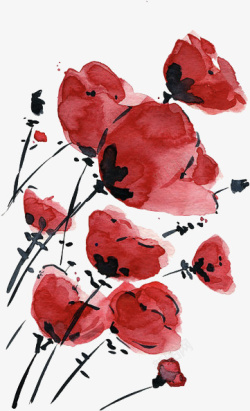 虞美人中国风水墨手绘红色花朵高清图片