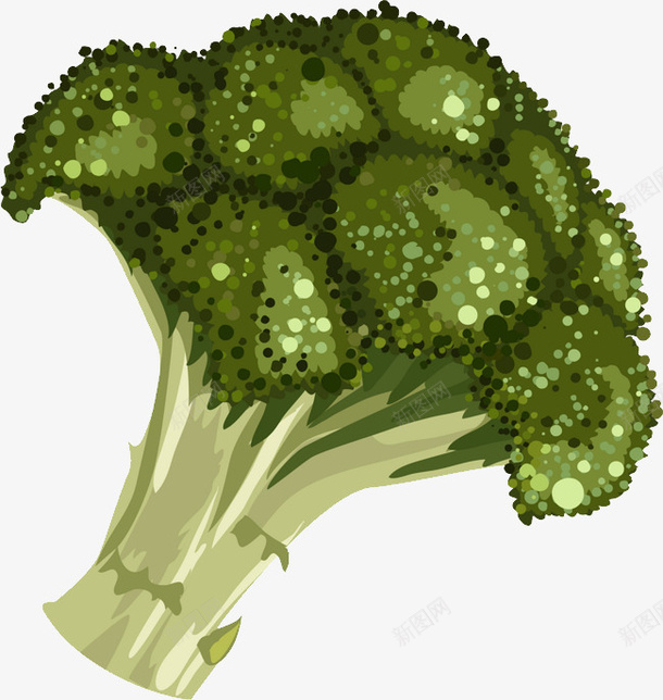 插画风西蓝花png免抠素材_新图网 https://ixintu.com 食物 蔬菜 绿色蔬菜 插画